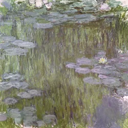 Seerosen in Giverny, 1918